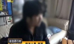 小胖爆料小妖精被抓视频,小妖精被抓视频曝光，真相令人震惊